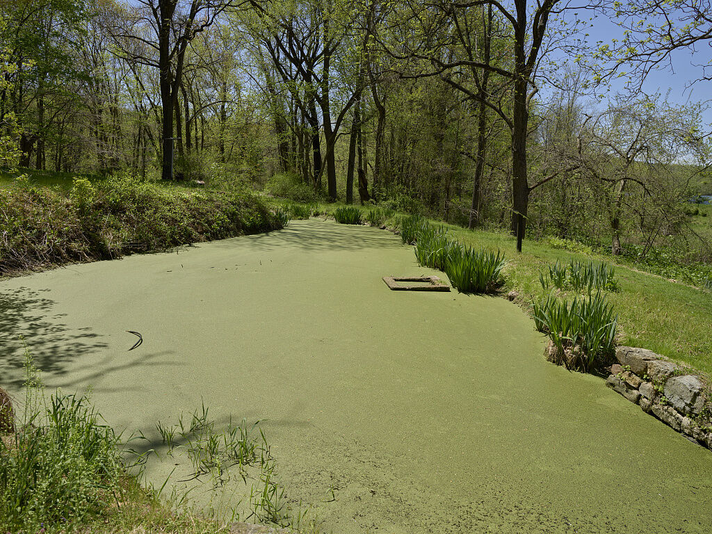 Four questions about harmful algal blooms, answered | Climate 360 ...