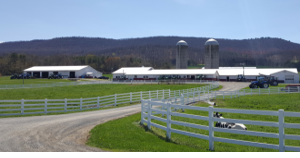 Lu-Lin Farm - Vimarsana News