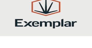 Exemplar Services (Formerly LNR Grain Systems) - Vimarsana News
