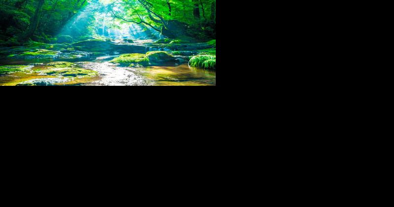 Everlasting Water - Vimarsana News