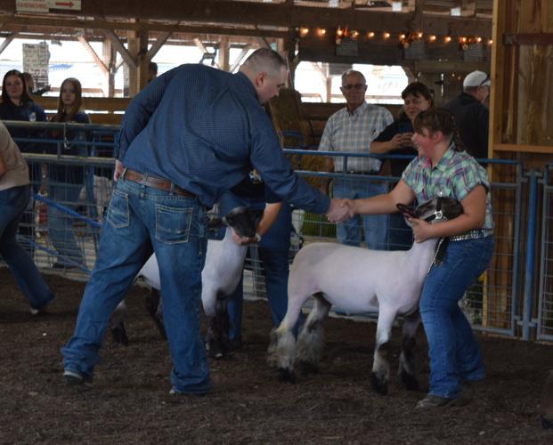 Youth Lamb Exhibitors Pass the Torch at Solanco Fair Farm Shows