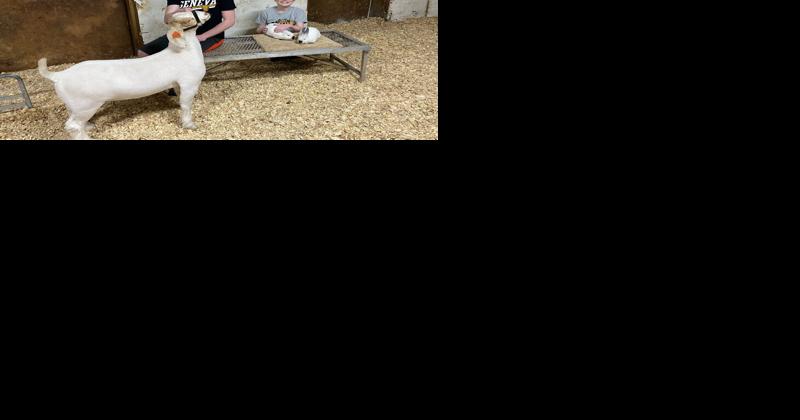 Pennsylvania Farm Show Is Home Turf for Lebanon County Family - Vimarsana News