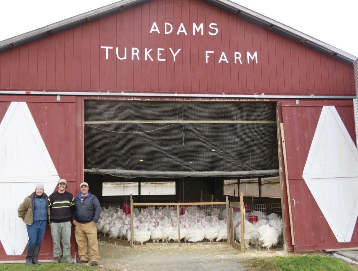 Adams Turkey Farm Diversifies To Grow The Heart Of The Farm Is