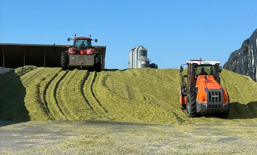 Silage Drying Building Mid-Atlantic Silage Yields Vary as Dry Weather Pushes Harvest | Field ...