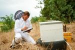 Beekeeping and Tech: New Tools for Managing Hives, Including Incorporating Drones