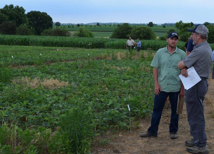 Farmers Have Sprays to Control Marestail | Main Edition ...