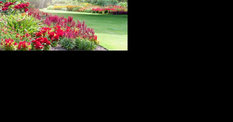 New Year, New Yard: 12 Steps to Updating Your Landscaping This Year - Vimarsana News