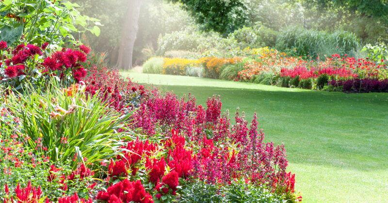 New 12 months, New Yard: 12 Steps to Updating Your Landscaping This 12 months | Gardening Ideas and How-To Backyard Guides New Year, New Yard: 12 Steps to Updating Your Landscaping This Year | Gardening Tips and How-To Garden Guides