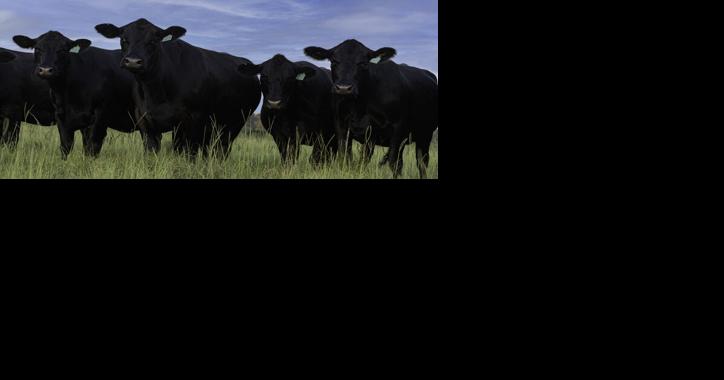Fired Up for Checkoff Change: Support the OFF Act [Opinion] - Vimarsana News