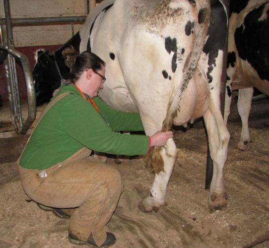 Veterinarian Makes Home Calls Farming and Agricultural News