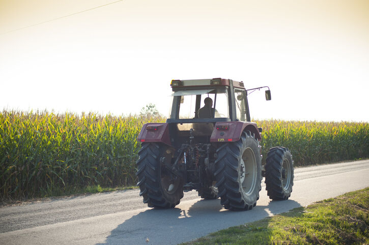 New York Finds Middle Ground on Neonicotinoid Seed Treatment