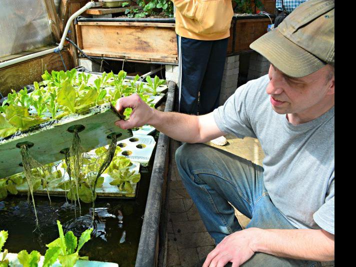 Connecticut Grower Has Become Aquaponics Youtube Star Northern