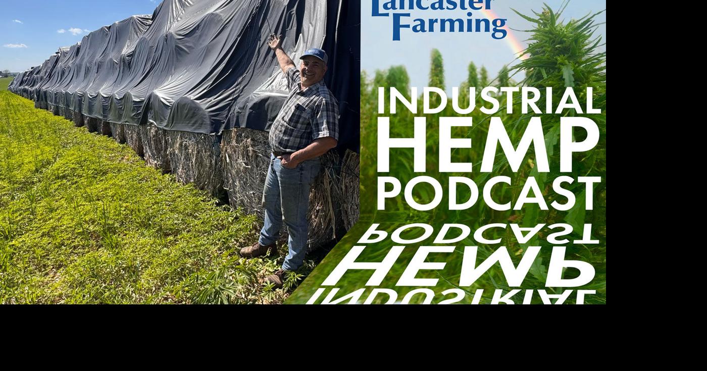 Steve Groff and the Great Wall of Hemp | Hemp Industry News ...