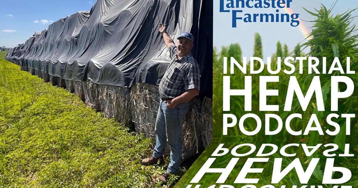 Steve Groff and the Great Wall of Hemp | Hemp Industry News ...