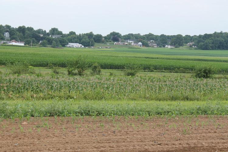 Sweet Start to Pa. Corn Harvest | Farming and Agricultural News ...