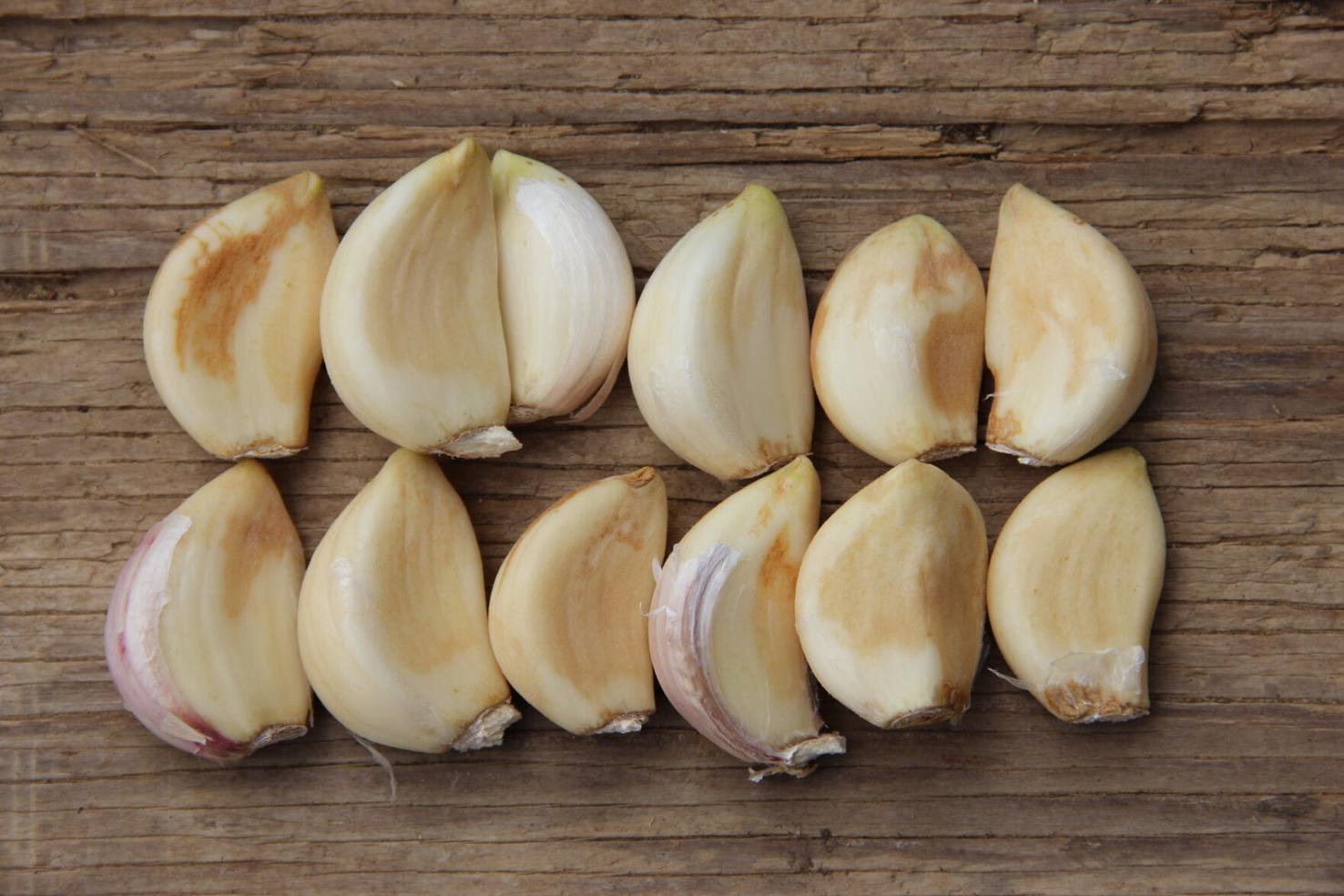 Bulb Mites a Tricky Problem for Garlic Growers Fruit and Vegetable