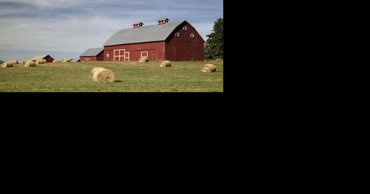 California's Sow Housing Law, Solar Among Pennsylvania Farm Bureau Priorities - Vimarsana News
