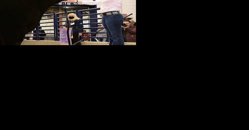 Saying Goodbye is Hardest Part at Farm Show Sale of Champions - Vimarsana News