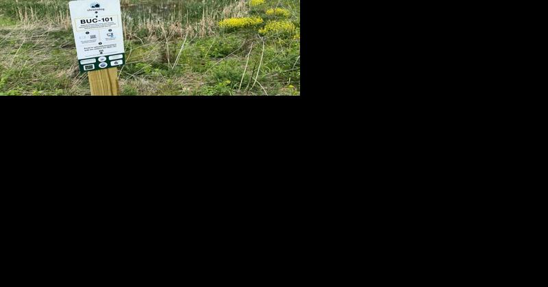 Wetland 'Selfies': Projects Promote Citizen Science | The Latest Environmental and Conservation News - Vimarsana News
