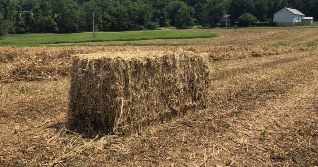 Pennsylvania Hemp Company Set To Buy Canadian Processor The Latest Hemp Industry News Lancasterfarming Com Pennsylvania Hemp Company Set To Buy Canadian Processor The Latest Hemp Industry News Lancasterfarming Com