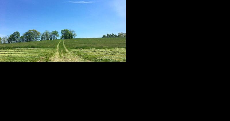 Dilemma Divides Those With Common Goal of Preserving New York Farmland - Vimarsana News