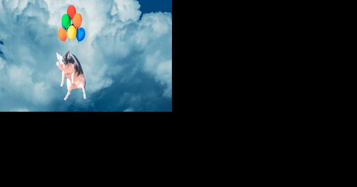 When Pigs Fly: A History of Animals as Flight Test Subjects - Vimarsana News