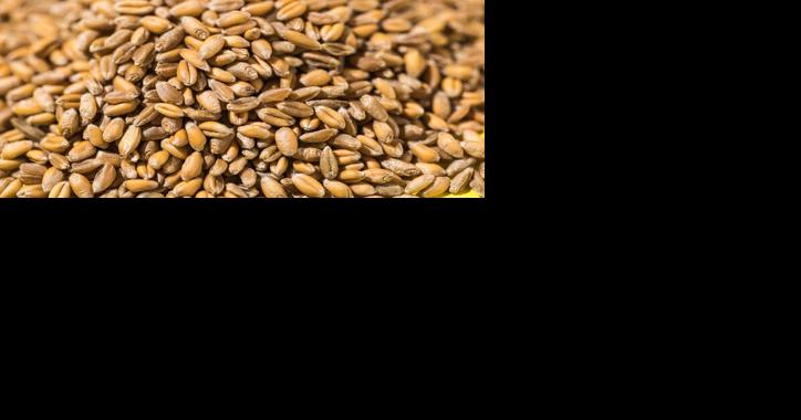 Farmers Deserve to be Able to Control What They Grow [Opinion] - Vimarsana News