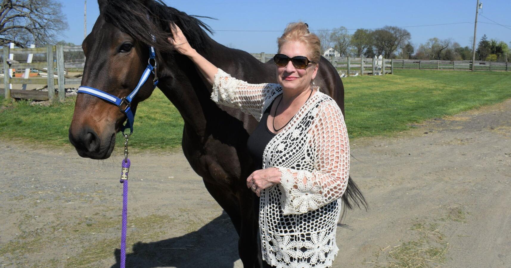Retired Standardbred Racehorses Popular With Riders and as Police Mounts