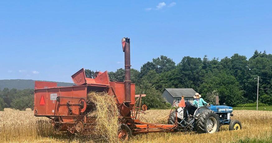 Red Cat Farm’s Sustainable Niche Grain Products Find a Market | Field ...