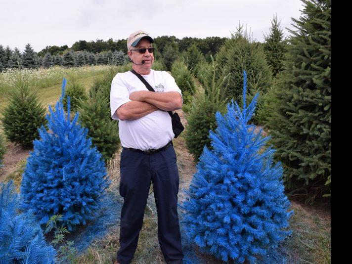 Blue Christmas Holds Promise For Tree Growers Main Edition Lancasterfarming Com