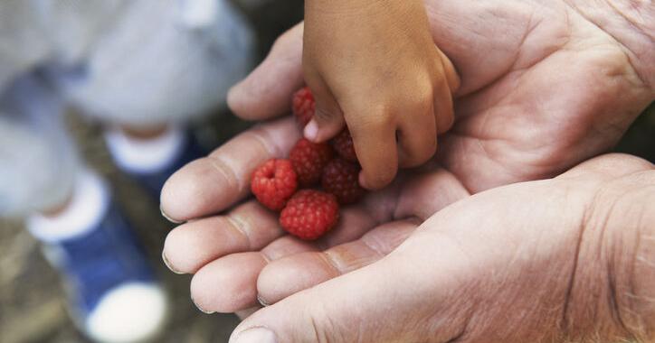 The Spiritual Fruits of Kindness, Goodness and Gentleness - Vimarsana News