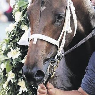 Angel of Empire Named Pennsylvania Horse of the Year - Vimarsana News