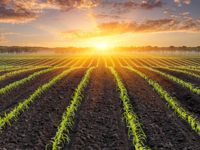10 Questions for Agriculture in 2021 - Vimarsana News