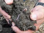 Controlling Soil Erosion with No-Till