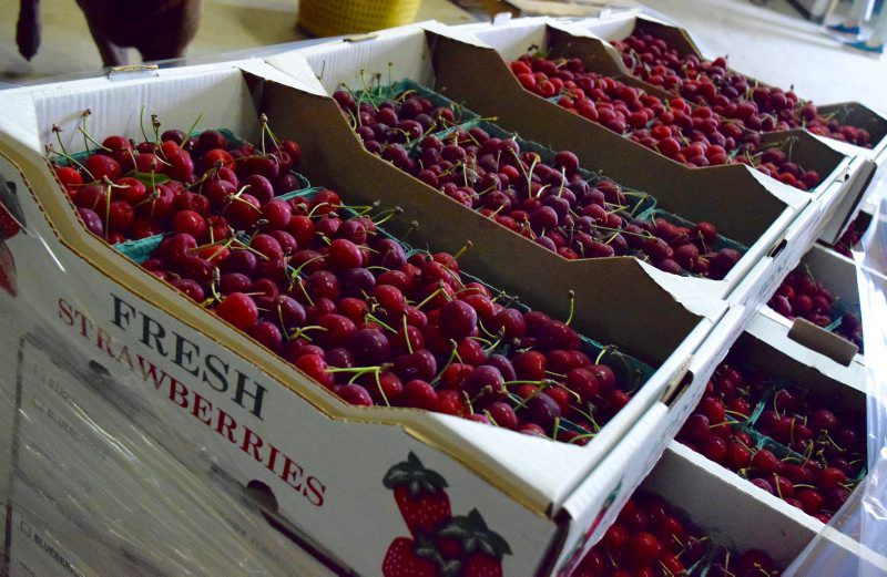 Delaware Farm Finds Sweet Spot in Cherries Produce, Market Growers
