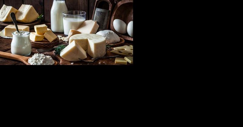 Cheese-Making Facility Transitions to Yogurt-Making and Experiences Tremendous Growth - Vimarsana News