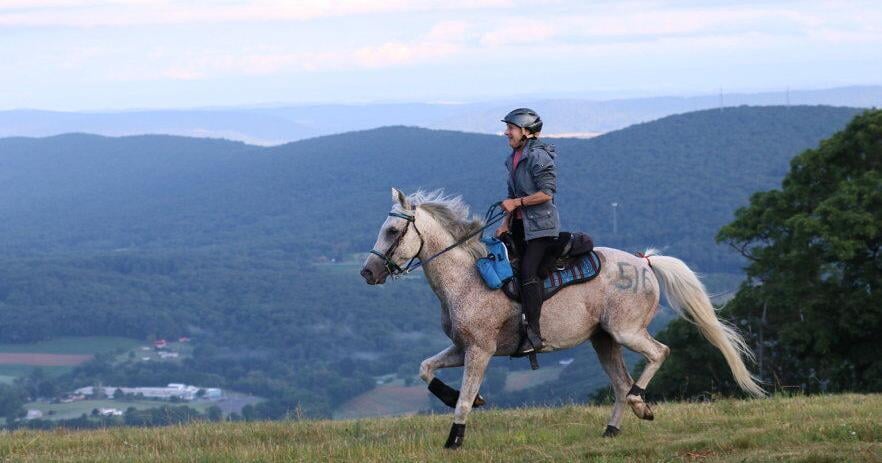 Distance Horse Racing: The Best-Conditioned Horse Wins - Vimarsana News