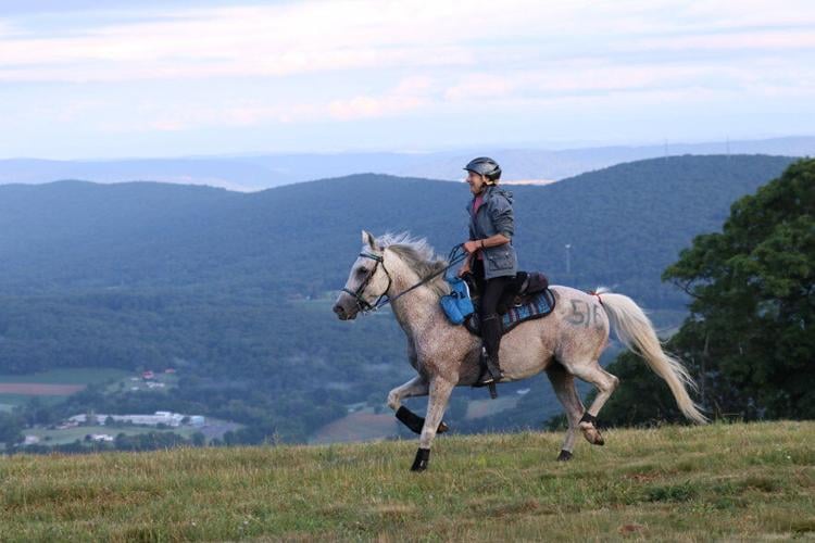 Endurance Riding: Start Slow to Finish Strong – The Horse