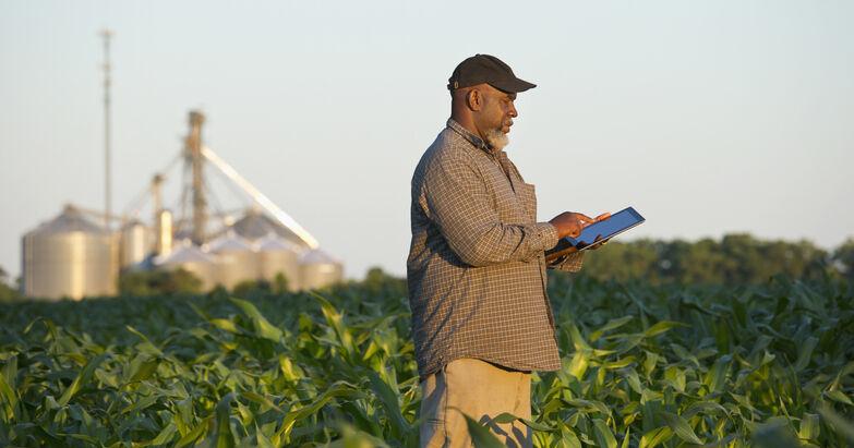 How Artificial Intelligence Is Changing Agriculture