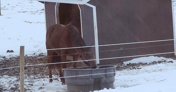 Amish and English Blend in Rural New York Community for Benefit of All