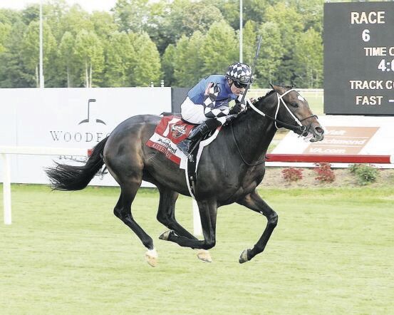 Top Thoroughbred Breeders