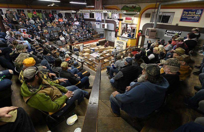 Gavels Silent as Carlisle Livestock Market Holds Final Auction Main