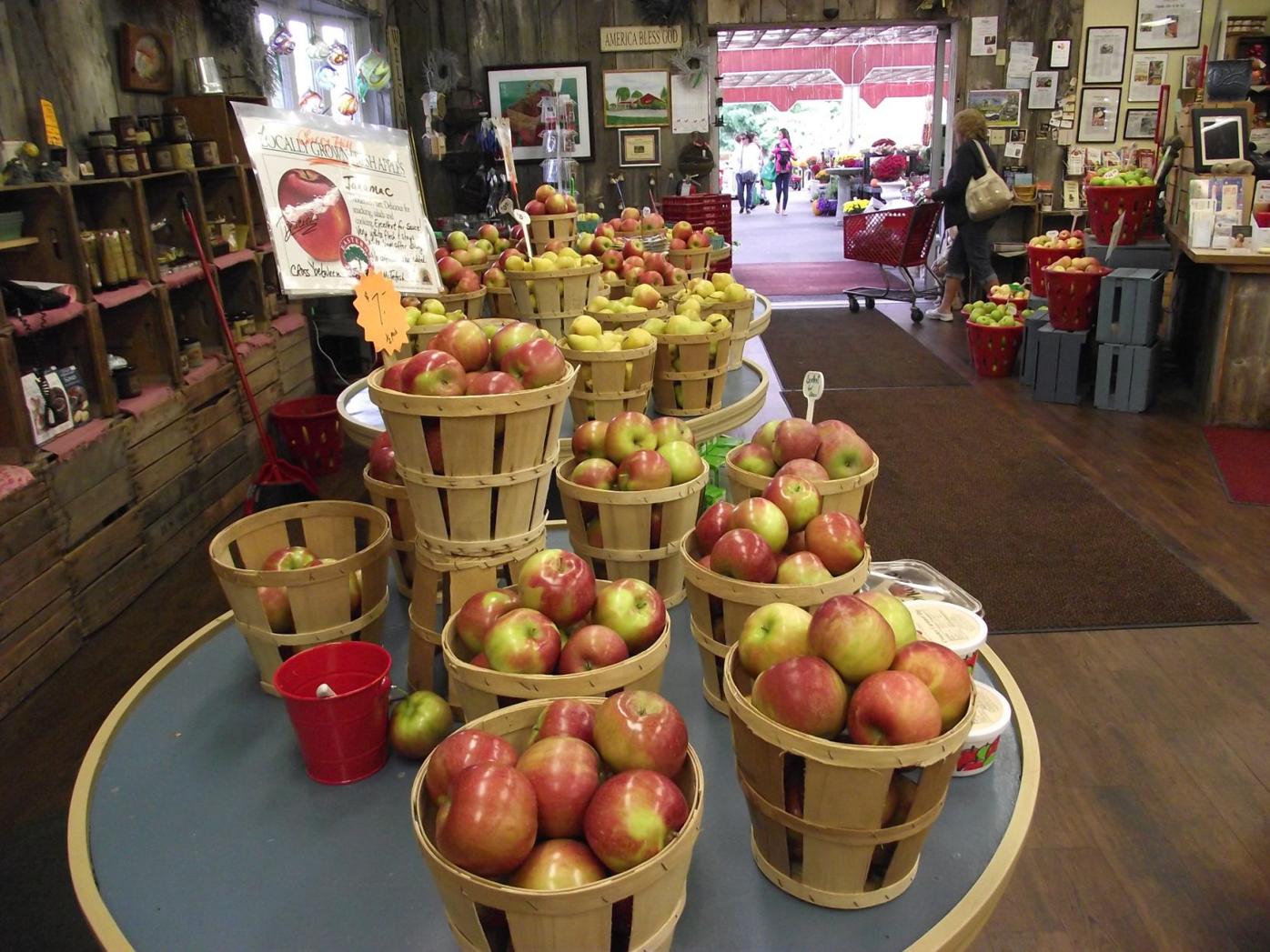 Late Freeze Shortens Fall Apple Season For Indiana Orchards