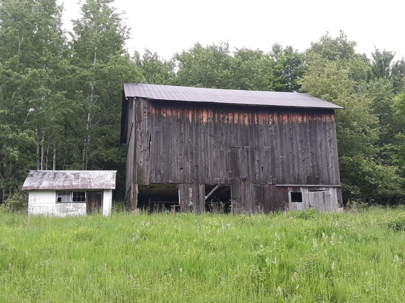 Texas Dairy Explosion Highlights Importance of Small Dairy Farms