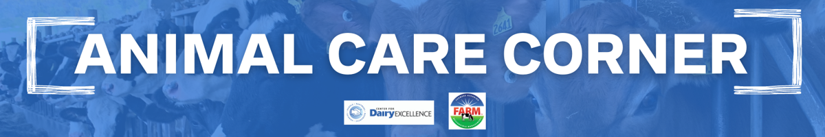 Animal Care Banner