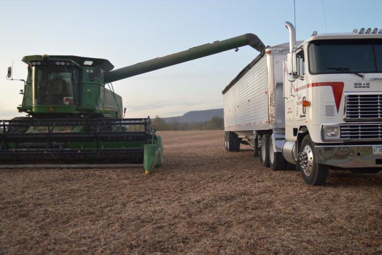 From ‘Carpet Farming’ to Custom Work, Young Farmer Chases Dream Field
