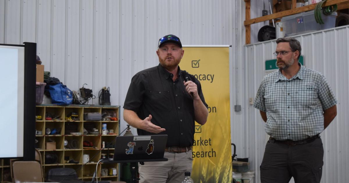 Rye-Vetch Cover Crop Helps Virginia Farmer Cut Fertilizer