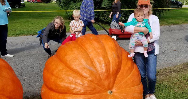 Pumped for Giant Pumpkins as Big as Cars [Opinion]
