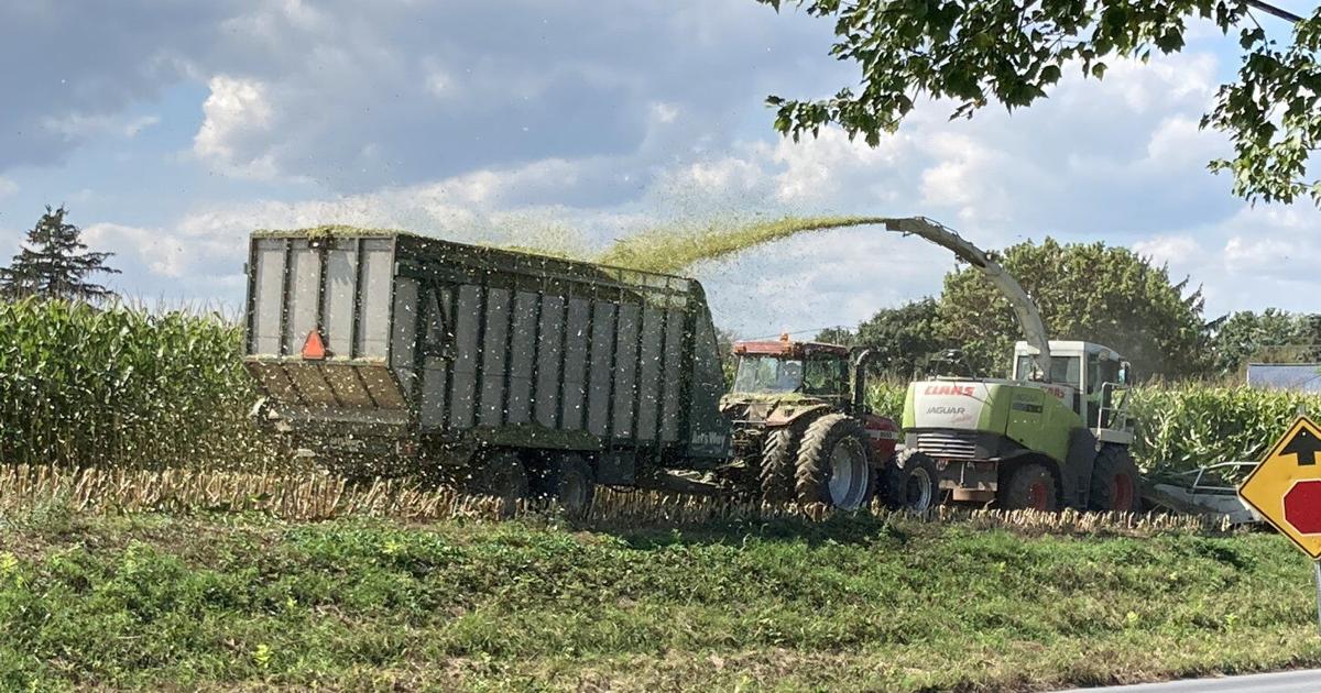 Silage Drying Building Southcentral PA Overcomes Dry Silage Season with Successful Harvest ...