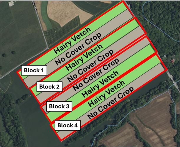 Farm Plot Experiments 10 Steps to Running Your Own On-Farm Research Project | Field Crop News ...